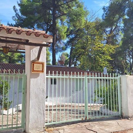 Villa Nefeli Sani  Exterior foto
