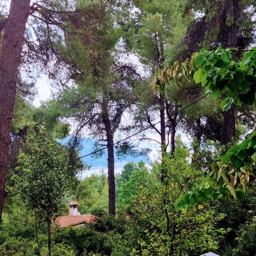 Villa Nefeli Sani  Exterior foto